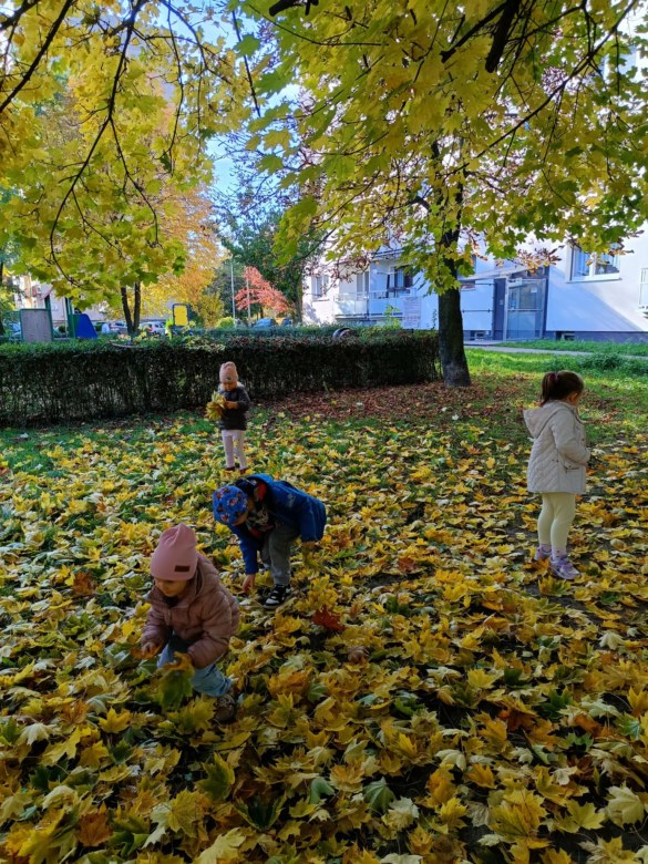 Sówki: Październik 2025 - Zdjęcie 188