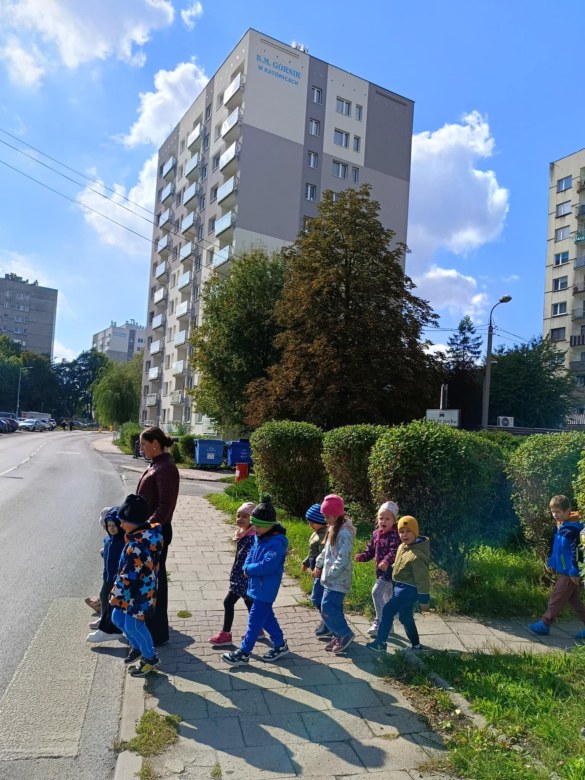 Sówki: Październik 2025 - Zdjęcie 194