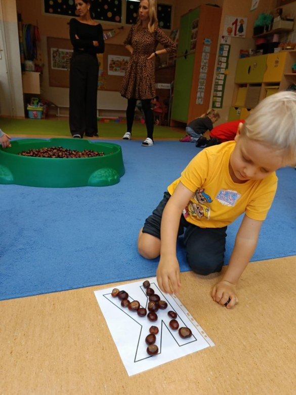 Sówki: Październik 2025 - Zdjęcie 246