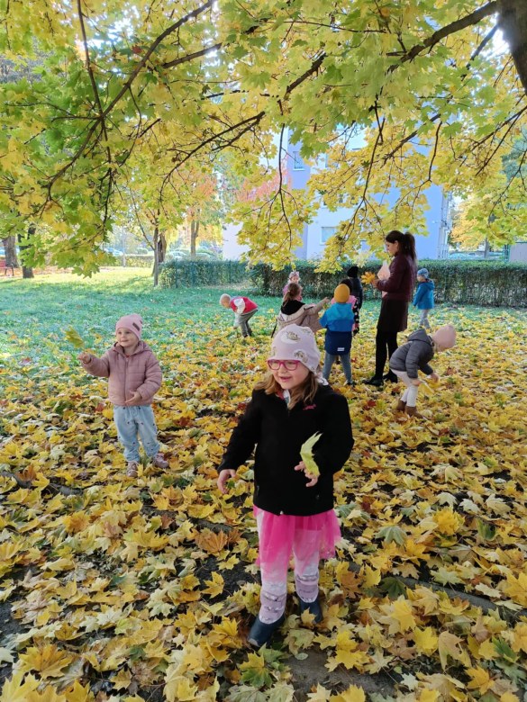 Sówki: Październik 2025 - Zdjęcie 51