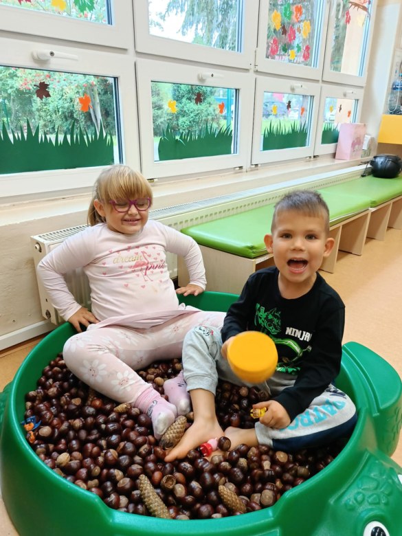 Sówki: Październik 2025 - Zdjęcie 72