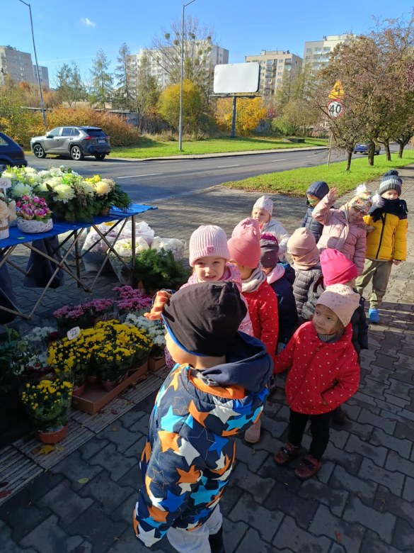 Sówki: Październik 2025 - Zdjęcie 86