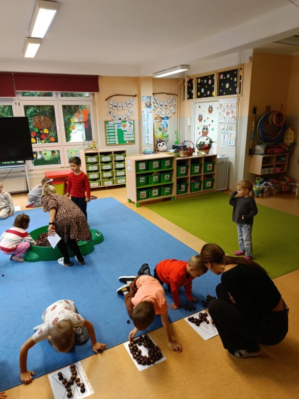 Sówki: Październik 2025 - Zdjęcie 95