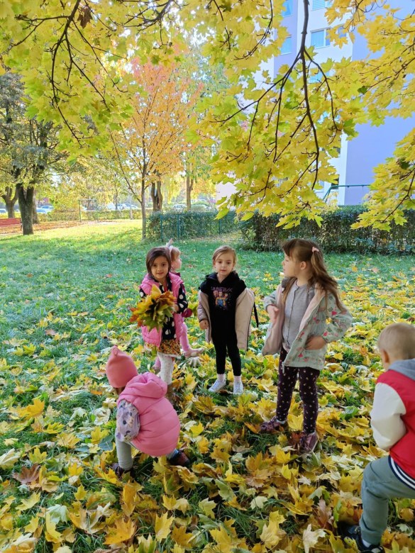 Sówki: Październik 2025 - Zdjęcie 104