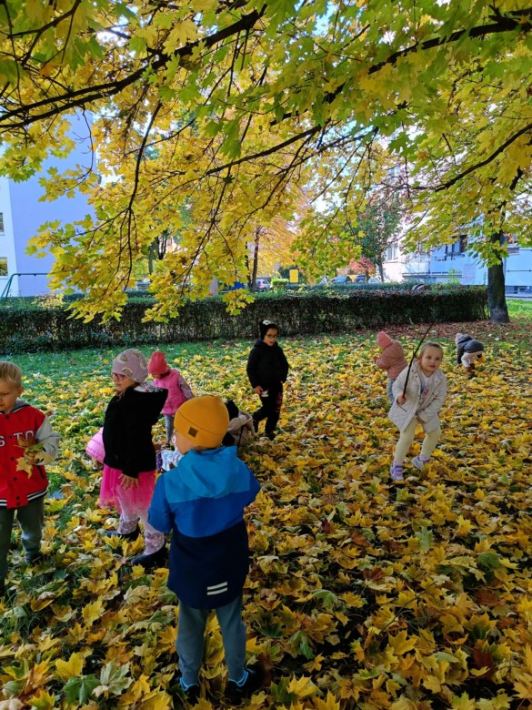 Sówki: Październik 2025 - Zdjęcie 106