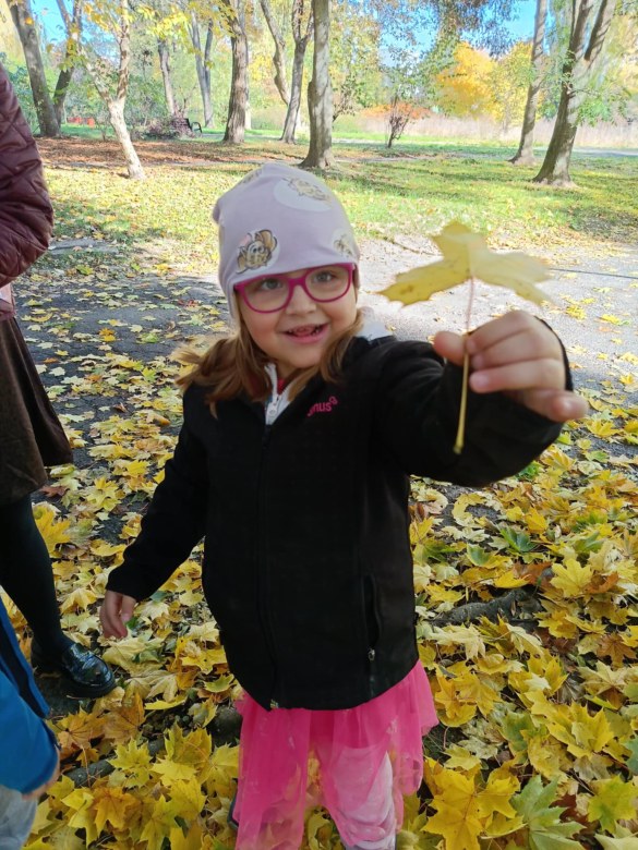 Sówki: Październik 2025 - Zdjęcie 102