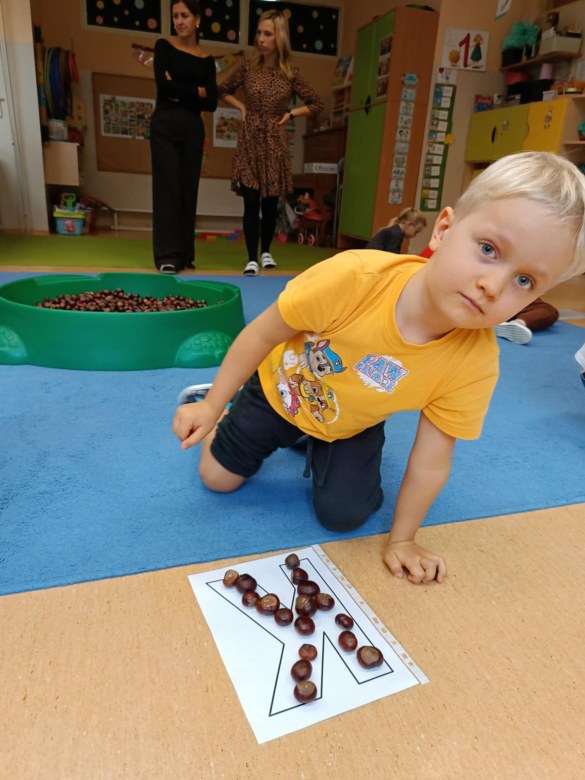 Sówki: Październik 2025 - Zdjęcie 116