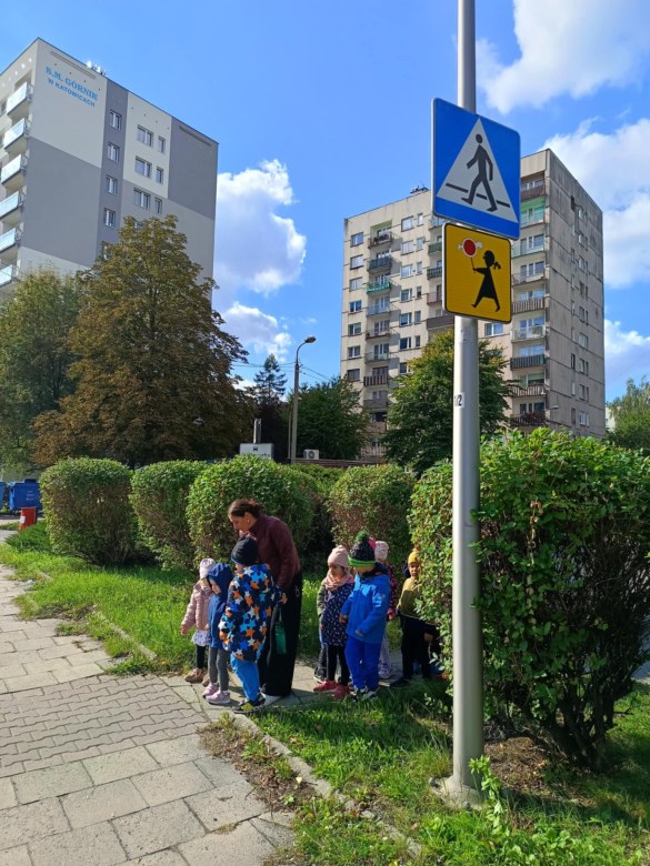 Sówki: Październik 2025 - Zdjęcie 121