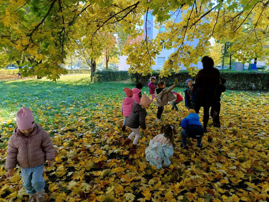 Sówki: Październik 2025 - Zdjęcie 124