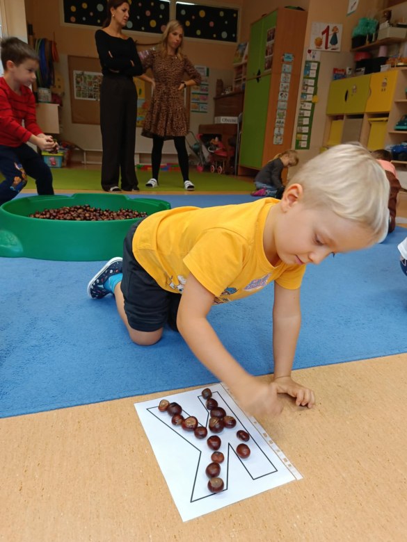 Sówki: Październik 2025 - Zdjęcie 126