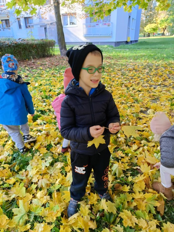 Sówki: Październik 2025 - Zdjęcie 149