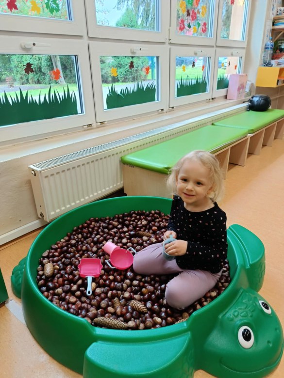 Sówki: Październik 2025 - Zdjęcie 170