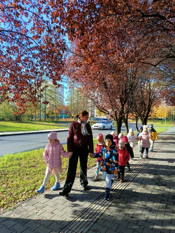 Sówki: Październik 2025 - Zdjęcie 172