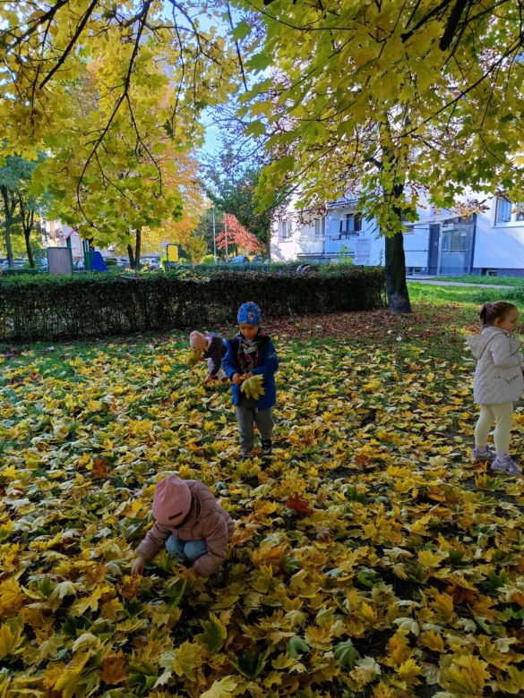 Sówki: Październik 2025 - Zdjęcie 200