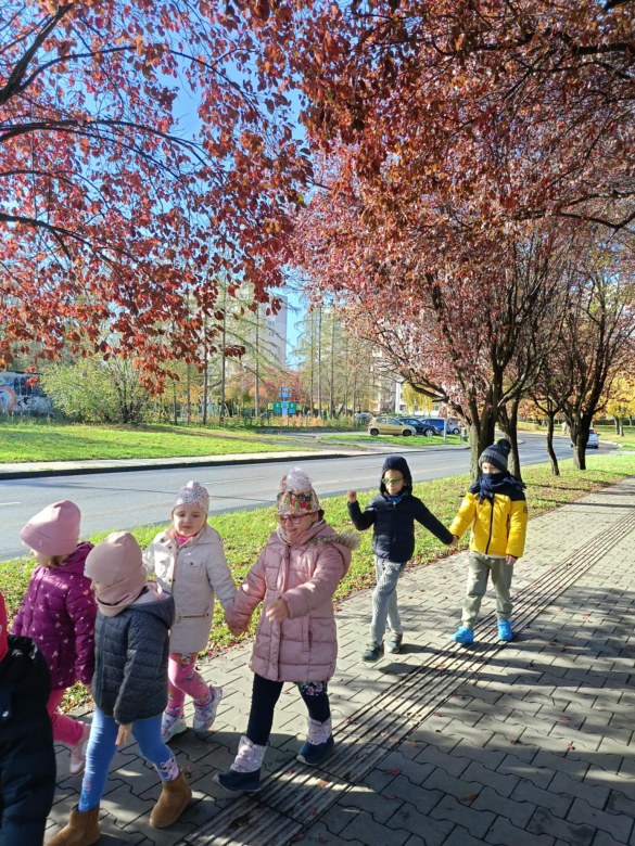 Sówki: Październik 2025 - Zdjęcie 212