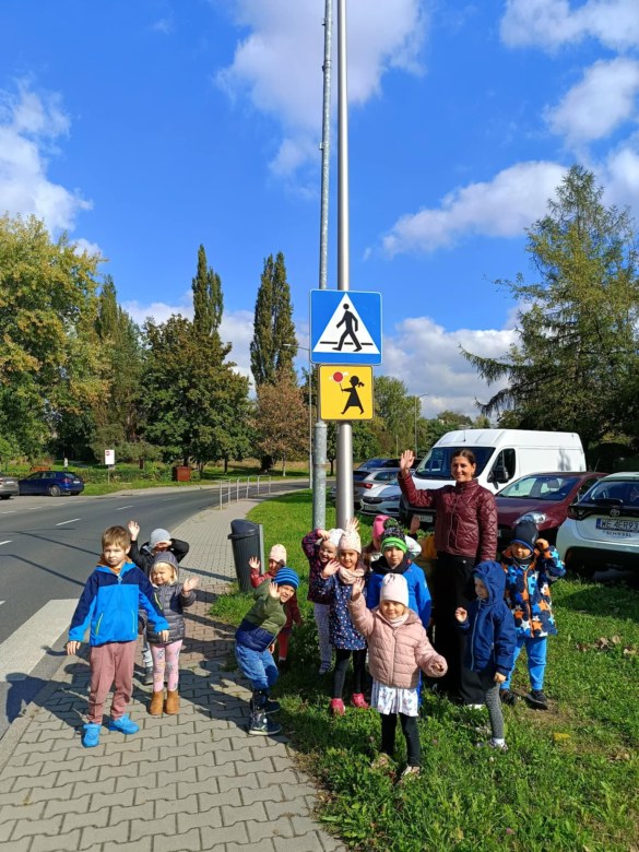 Sówki: Październik 2025 - Zdjęcie 227