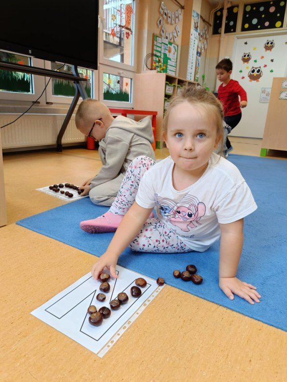 Sówki: Październik 2025 - Zdjęcie 226