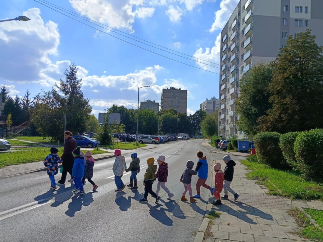 Sówki: Październik 2025 - Zdjęcie 243