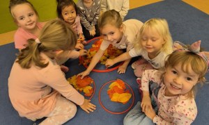 Sówki: Październik 2025 - Zdjęcie 264