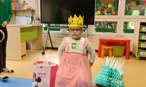 Sówki: Październik 2025 - Zdjęcie 6