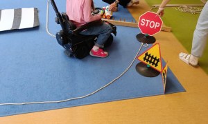 Sówki: Październik 2025 - Zdjęcie 12