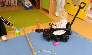 Sówki: Październik 2025 - Zdjęcie 14