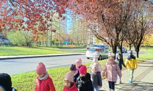 Sówki: Październik 2025 - Zdjęcie 30