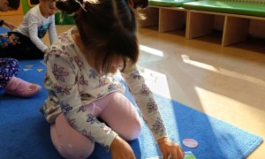 Sówki: Październik 2025 - Zdjęcie 38