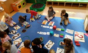 Sówki: Październik 2025 - Zdjęcie 41