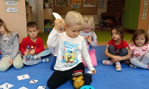 Sówki: Październik 2025 - Zdjęcie 42