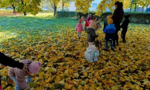 Sówki: Październik 2025 - Zdjęcie 46