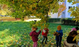 Sówki: Październik 2025 - Zdjęcie 47