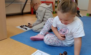 Sówki: Październik 2025 - Zdjęcie 54