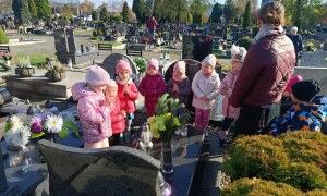 Sówki: Październik 2025 - Zdjęcie 67