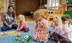 Sówki: Październik 2025 - Zdjęcie 79