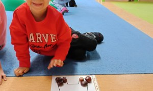 Sówki: Październik 2025 - Zdjęcie 83