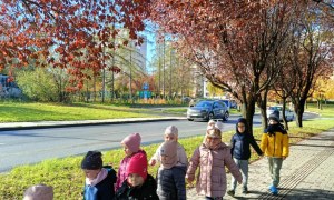 Sówki: Październik 2025 - Zdjęcie 84