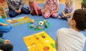 Sówki: Październik 2025 - Zdjęcie 91