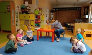 Sówki: Październik 2025 - Zdjęcie 148