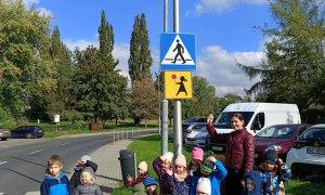 Sówki: Październik 2025 - Zdjęcie 154