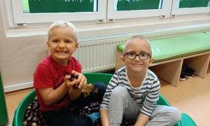 Sówki: Październik 2025 - Zdjęcie 155