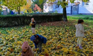 Sówki: Październik 2025 - Zdjęcie 188