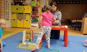 Sówki: Październik 2025 - Zdjęcie 192