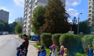 Sówki: Październik 2025 - Zdjęcie 194