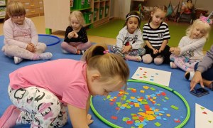 Sówki: Październik 2025 - Zdjęcie 197