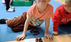 Sówki: Październik 2025 - Zdjęcie 228