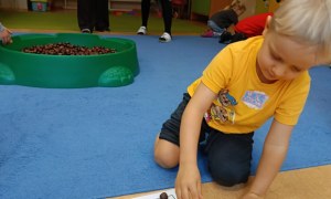 Sówki: Październik 2025 - Zdjęcie 246