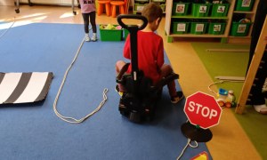 Sówki: Październik 2025 - Zdjęcie 250