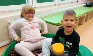 Sówki: Październik 2025 - Zdjęcie 72