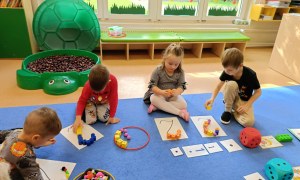 Sówki: Październik 2025 - Zdjęcie 77